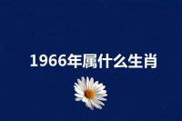 1966年生肖|1966年属什么生肖？